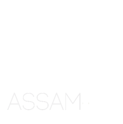 Tienda Assam-Té